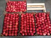 Продаю яблоки польские